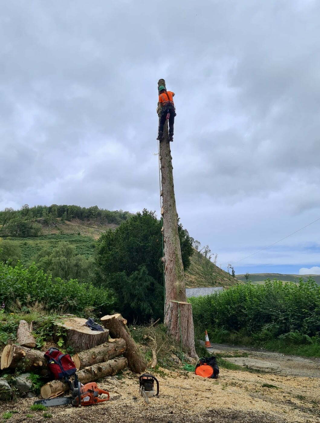 Tree Rigging Friction Dismantling & Rigging - easytrees